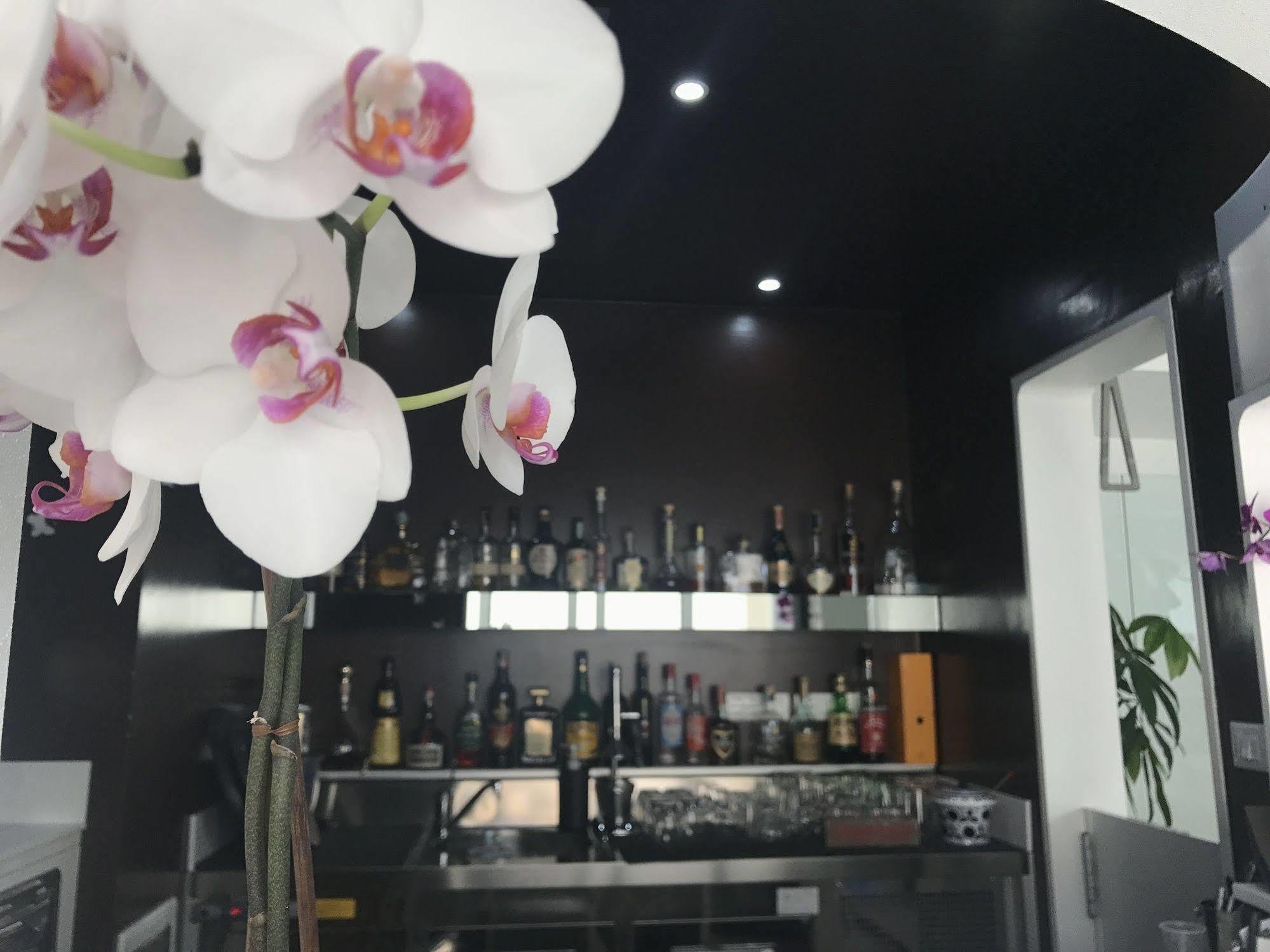 Quihotel Porto Cesareo Eksteriør bilde
